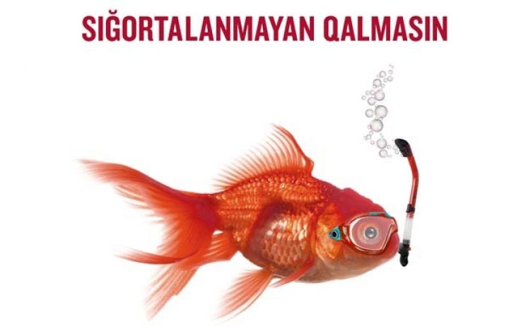 Azərbaycanda ilk dəfə: Bankda kreditlə avtomobil sığortası