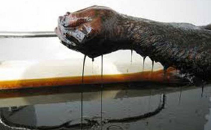 Azərbaycanda 2 milyard ton neft hasil ediləcək