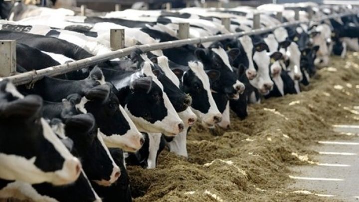 “Pulumuz xaricə axmayacaq”