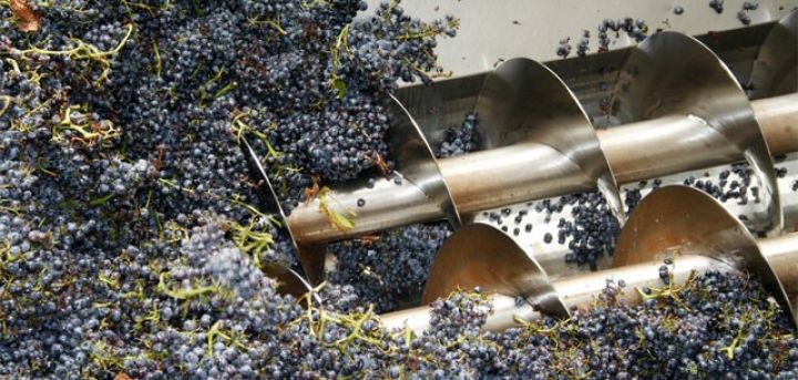 “Şirvan şərabları” şərab emalı zavodu tikir