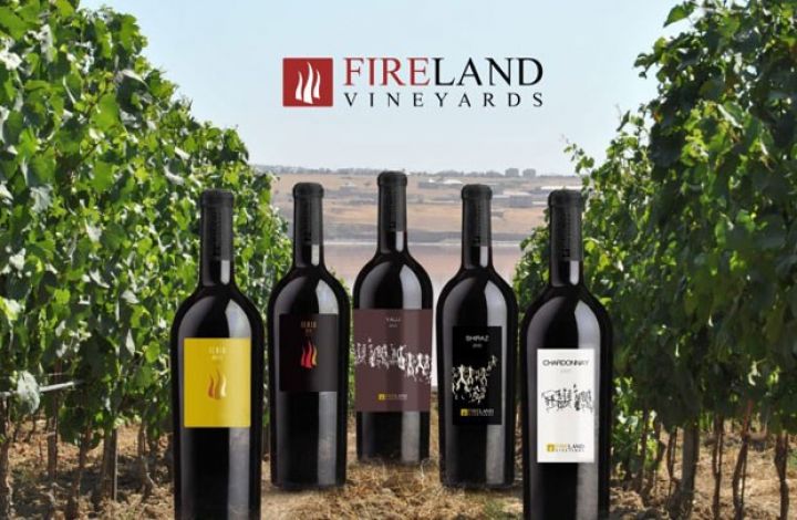 Girov qoyulmuş şərab istehsalı müəssisəsi satıldı