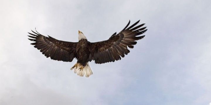 "Jackson Hole"da güclü pul vahidləri ucuzlaşdırılmağa çalışılacaq