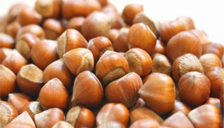 Fındığa qiymət verən yoxdur