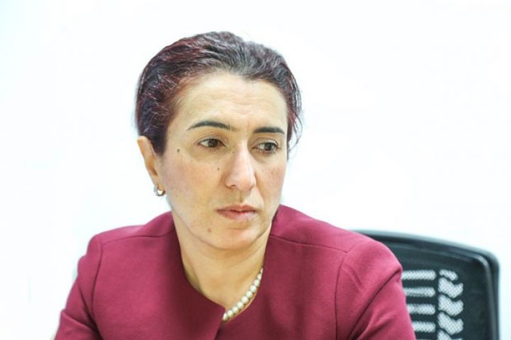 "Problemli mikrokreditlər 35-45% arasındadır"