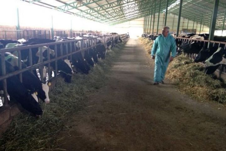 “ƏMƏK” ordenlərinin görünməyən qəhrəmanlarından biri