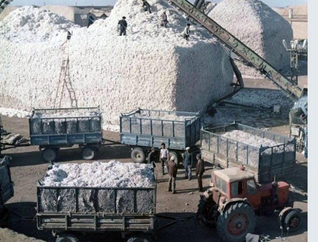 206 min tona çatdı