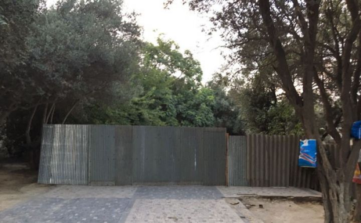 Parkda ağacları kəsib, kafe tikirlər