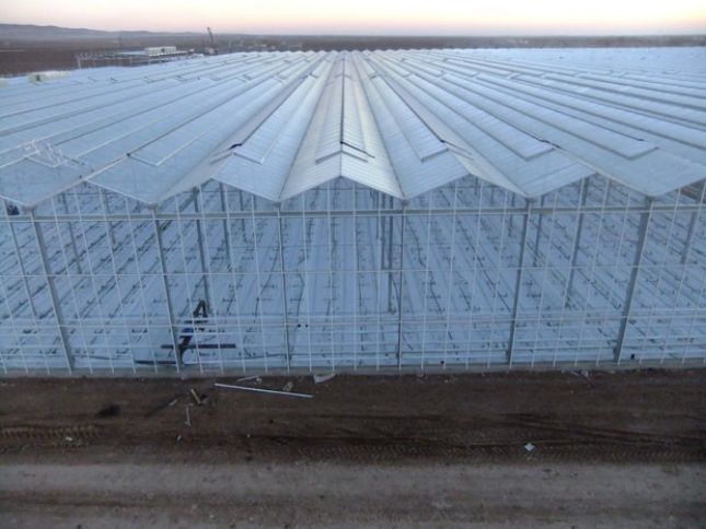 Dövlət şirkəti istixana kompleksi inşa etməyi planlaşdırır