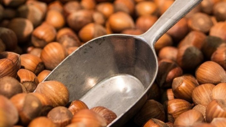 “Zaqatala Fındıq” ASC-nin bir hissəsi satılır - YENİLƏNİB