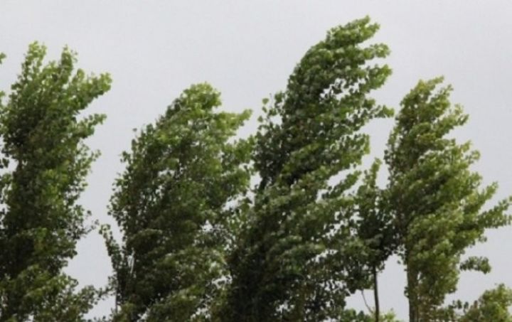 Növbəti iki gün hava necə olacaq?