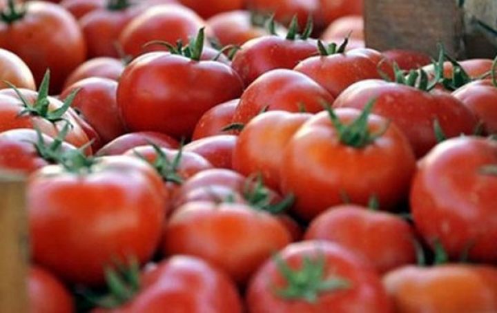 KİV: Türkiyə Azərbaycan hesabına Rusiyanın embarqosundan yayınır