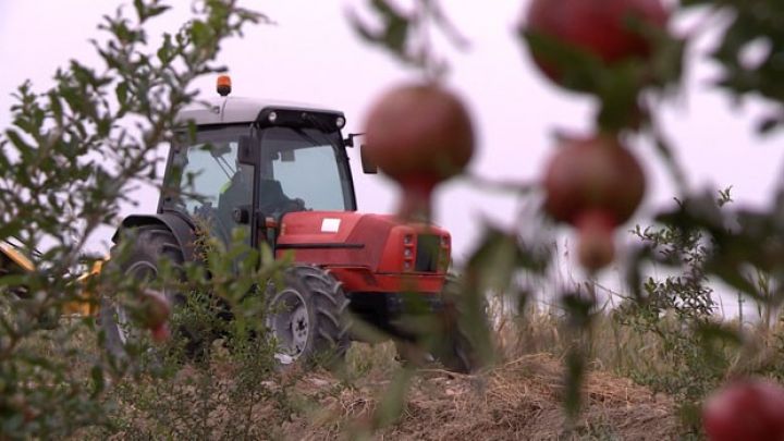 550 milyon dollarlıq ixrac gözlənilir