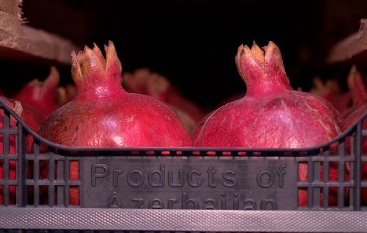 Azərbaycandan İsveçrə və Monqolustana nar göndəriləcək - RAZILAŞMA
