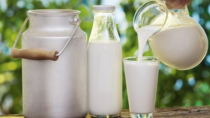 "Azərbaycanda yeni süd zavodları yaradılmalıdır"