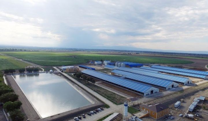 Yalamada aqrar möcüzə: Azərbaycanın ilk aqroparkı 1 yaşında