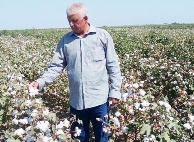 "Hamımız işsiz idik, indi yaxşı gəlir götürəcəyik"
