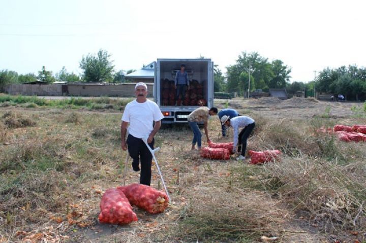 "Soğan satışında çətinliklə üzləşmişdik"