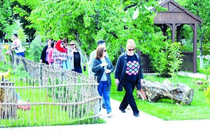 Azərbaycanda daxili səyahətlər də sığortalanacaq 