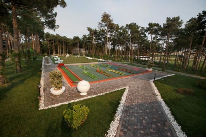 Naftalanda böyük ərazidə yaşıllıqlar salınacaq - BAŞ PLAN