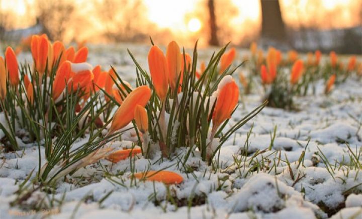 Sabah olan hava proqnozu açıqlandı