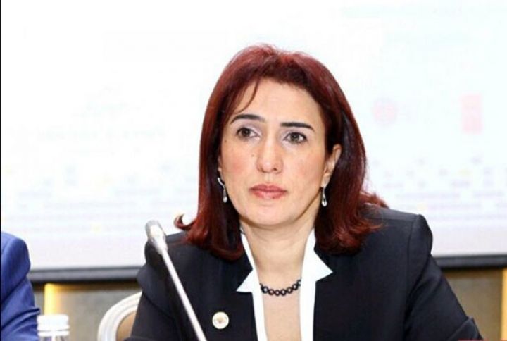 "Kredit Zəmanət Fonduna BOKT-ların da çıxışı vacibdir"