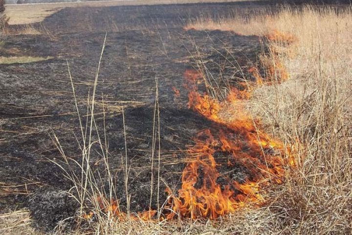 "Zərərlidir və cəriməsi var" - Kənd Təsərrüfatı Nazirliyi xəbərdarlıq edir