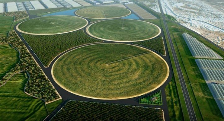 Yeni aqrar şirkət yaradılıb