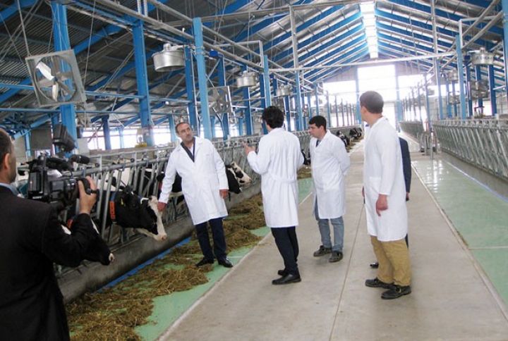 Baytarlıq Nəzarəti Xidmətinin rəisi “AZZA Aqro”nun heyvandarlıq təsərrüfatında olub 