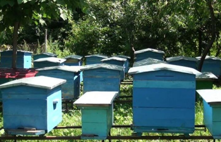 Bal bahalaşa bilər