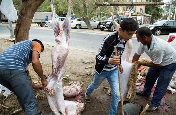 Bakıya heyvanların gətirilməsi qadağan olunur, ət kəsim yerləri ləğv ediləcək
