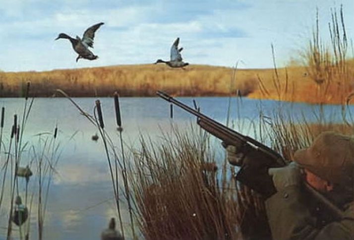 Sabahdan ov mövsümü açıq elan olunur