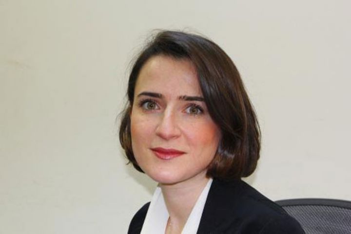 "Nefti 60 dollarda qalacağı halda aktivlər 50,8 milyard dollara çatacaq"