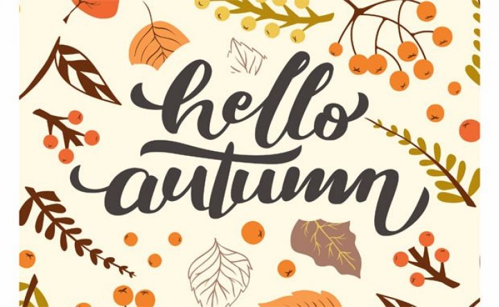 Əl işi məhsullarının satışı təşkil olunacaq 