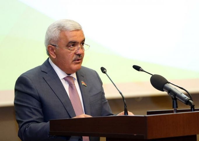 SOCAR Türkiyədən "azad sənaye zonası" statusu istəyir