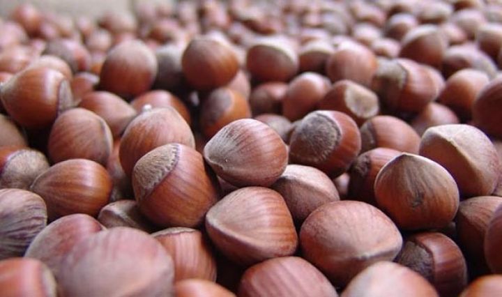 Dünyada 3-cü yerdə qalmalıyıq - "60 MİN TON GÖZLƏNİLİR"