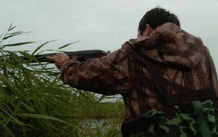 35 ovçu cəmi 40 min manat cərimələnib