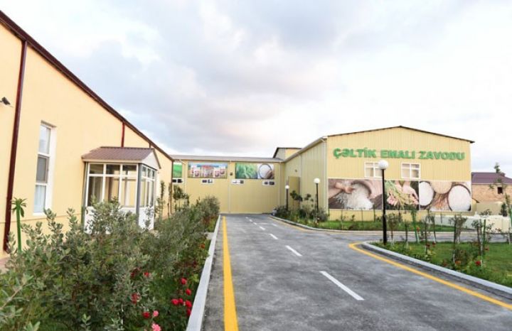 İlham Əliyev çəltik emalı müəssisəsini işə saldı