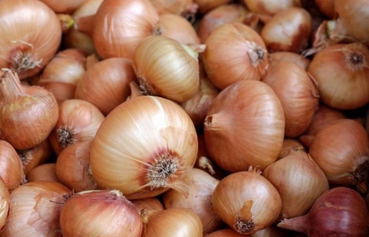 İrandan soğan ixracına qadağa yayın sonuna qədər davam edə bilər