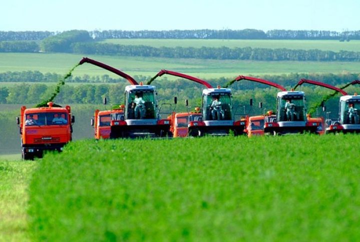 Aqrar sahənin Ümumi Daxili Məhsulda payı 5,6 faizə çatıb