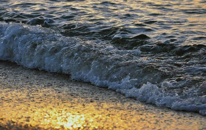 23 obyektin fəaliyyətinin dayandırılması üçün məhkəmələrə müraciət olunub