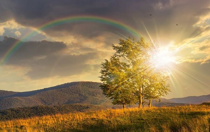 Sabahın hava proqnozu açıqlandı