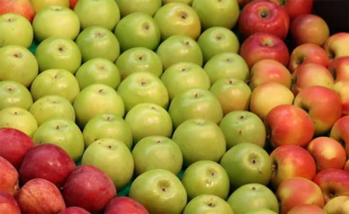 Rusiyaya 35 milyon dollarlıq alma ixrac etmişik