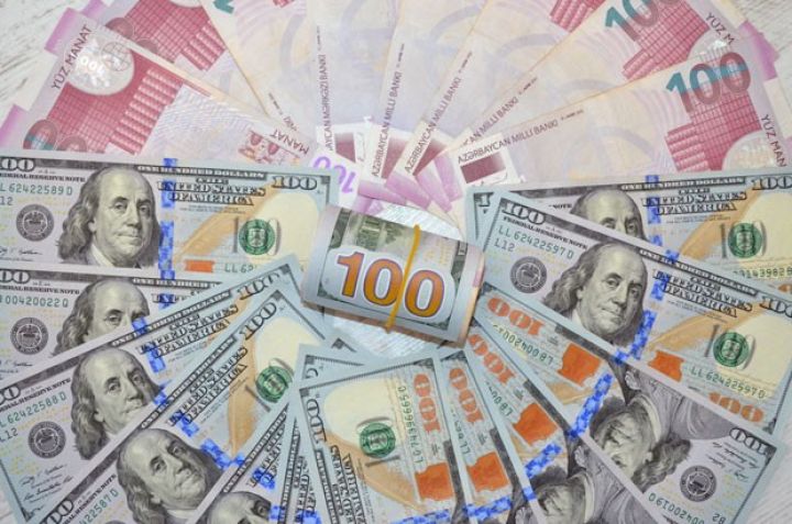 Dollar kreditlərinin həlli ilə bağlı hansı təkliflər verilmişdi?