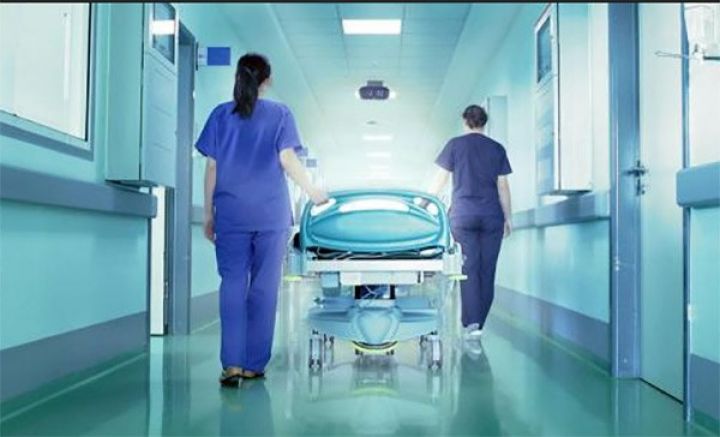 Gürcüstanda "donuz qripi"ndən ölənlərin sayı daha da artdı