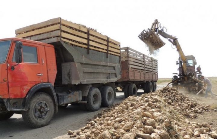 Azərbaycanda yeni kooperativ yaradılır