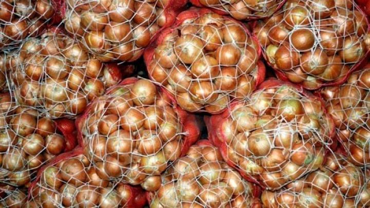 Azərbaycanda soğan üzrə də assosiasiya yaradılacaq