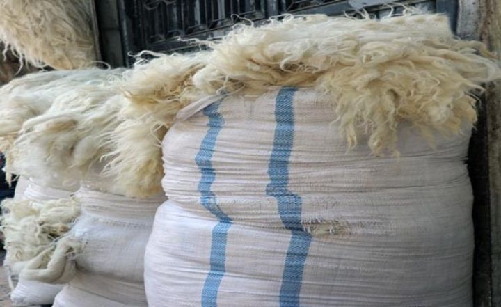 “Azərxalça” yun tədarükü zamanı nələrə diqqət yetirəcək? - STANDARTLAR
