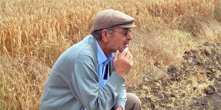 Türkiyədə fermerlərin 70 faizi dövlətin kənd təsərrüfatı siyasətlərindən razı deyil 