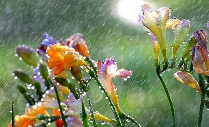 Sabaha olan hava proqnozu açıqlandı