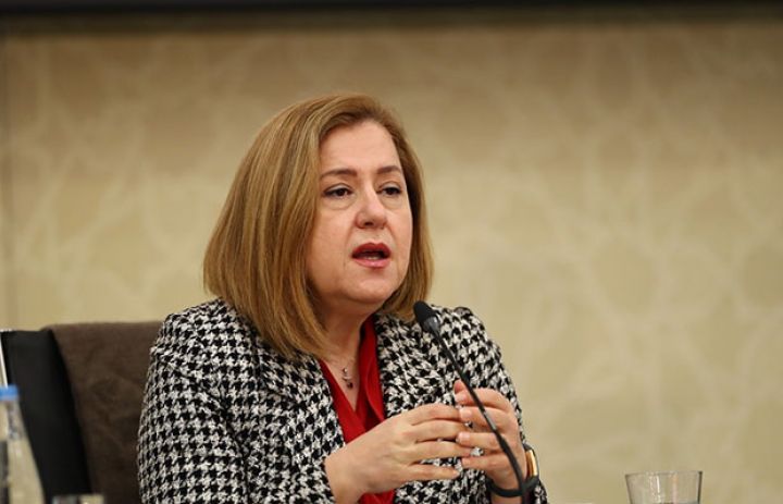 "Azərbaycanda koronavirusa yoluxmanın pik həddi başa çatıb"